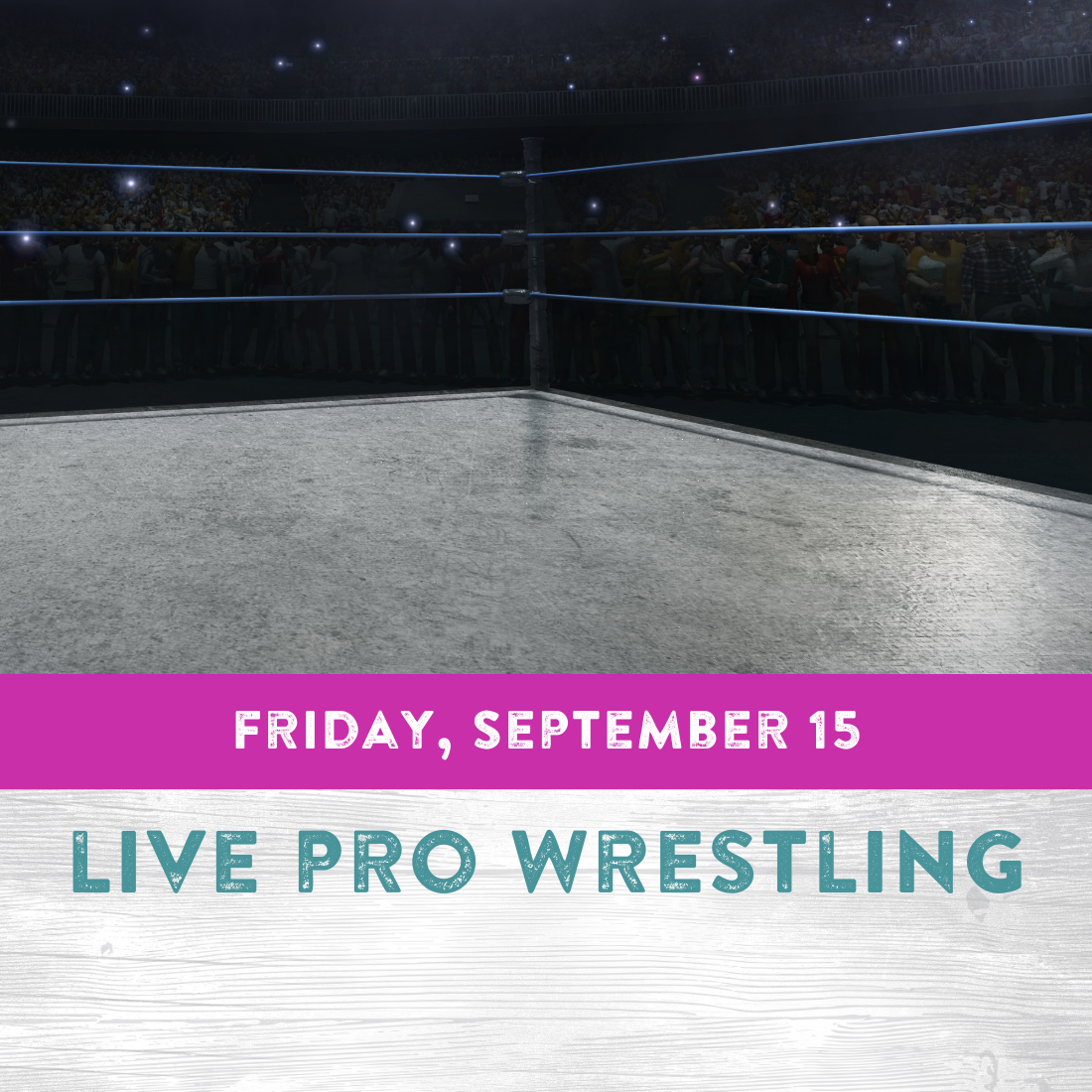 Live Pro Wrestling