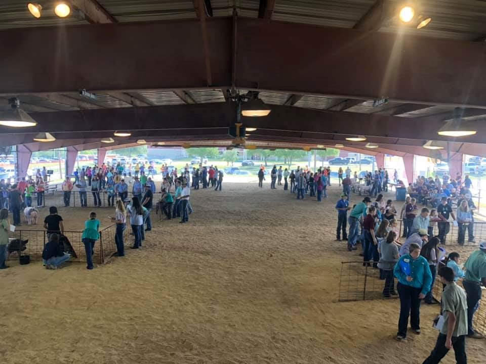 Livestock Judging Contest Awards