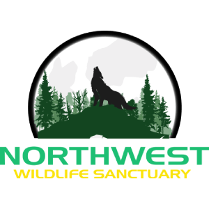 Northwest Wildlife Sanctuary