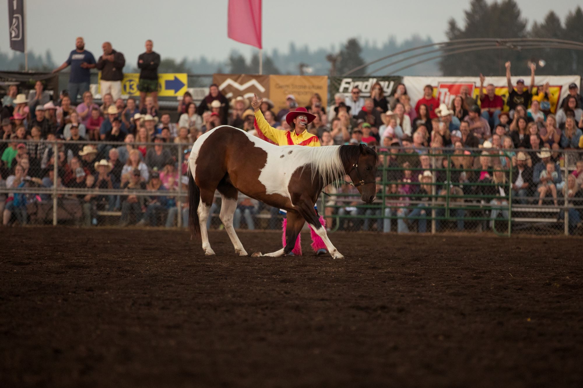 PRCA Rodeos