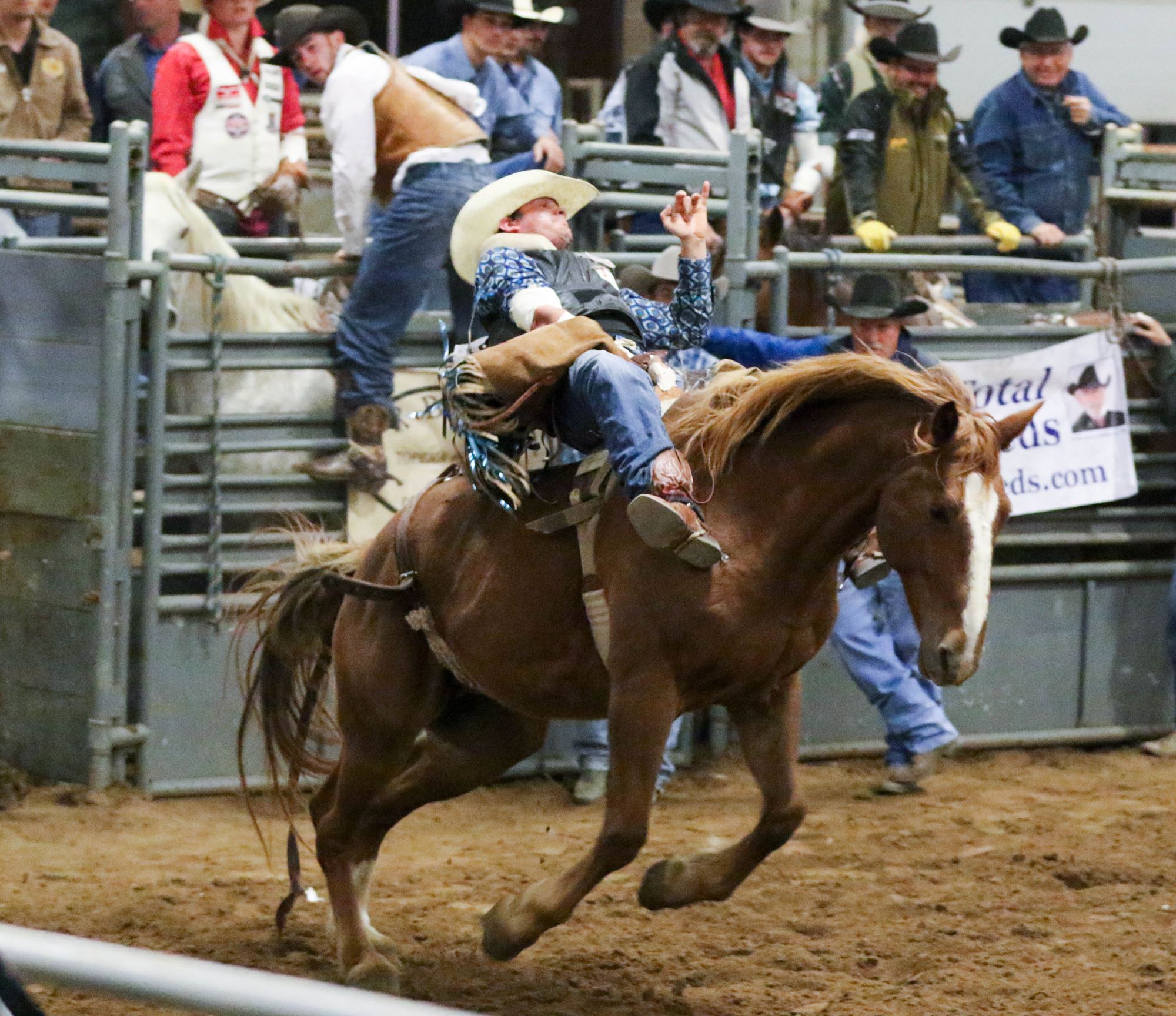 URA Rodeo Finals