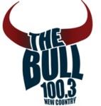 The Bull Bash 