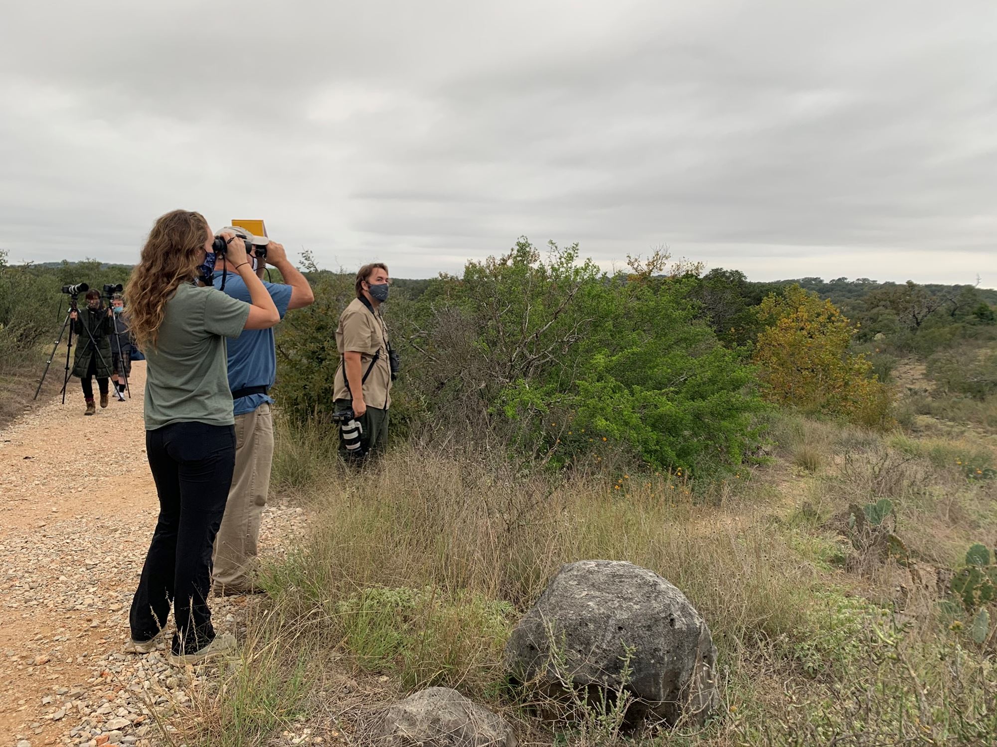 Bird Watching in the Texas Hill Country