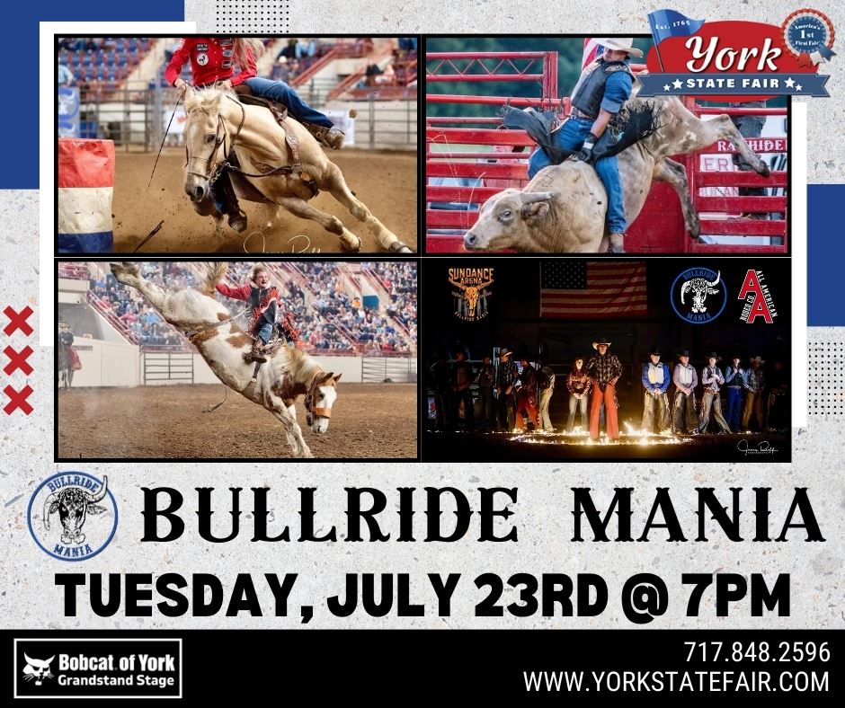 Bullride Mania