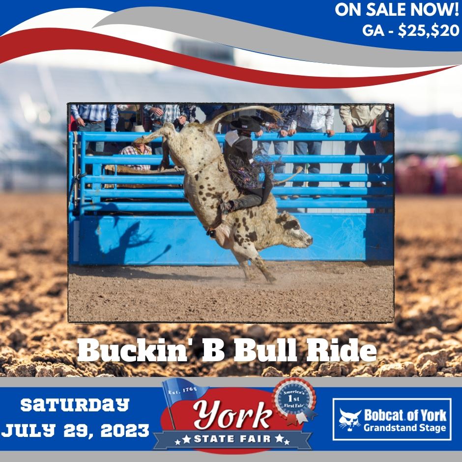 BUCKIN' B BULL RIDE
