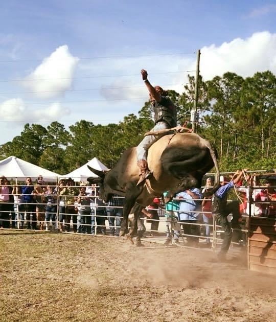 Tampa Bay Rodeo's Bull Bash & Country Music Festival