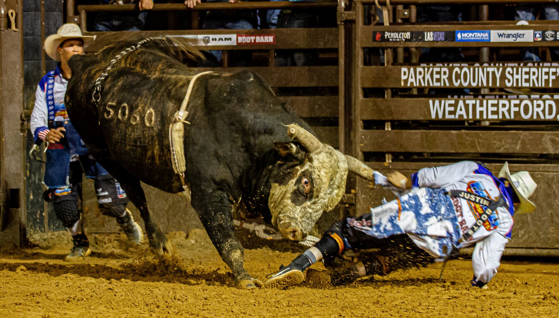 PCSP BULLS NIGHT OUT! A CHICKFILA PRCA EXTREME BULL RIDING EVENT!