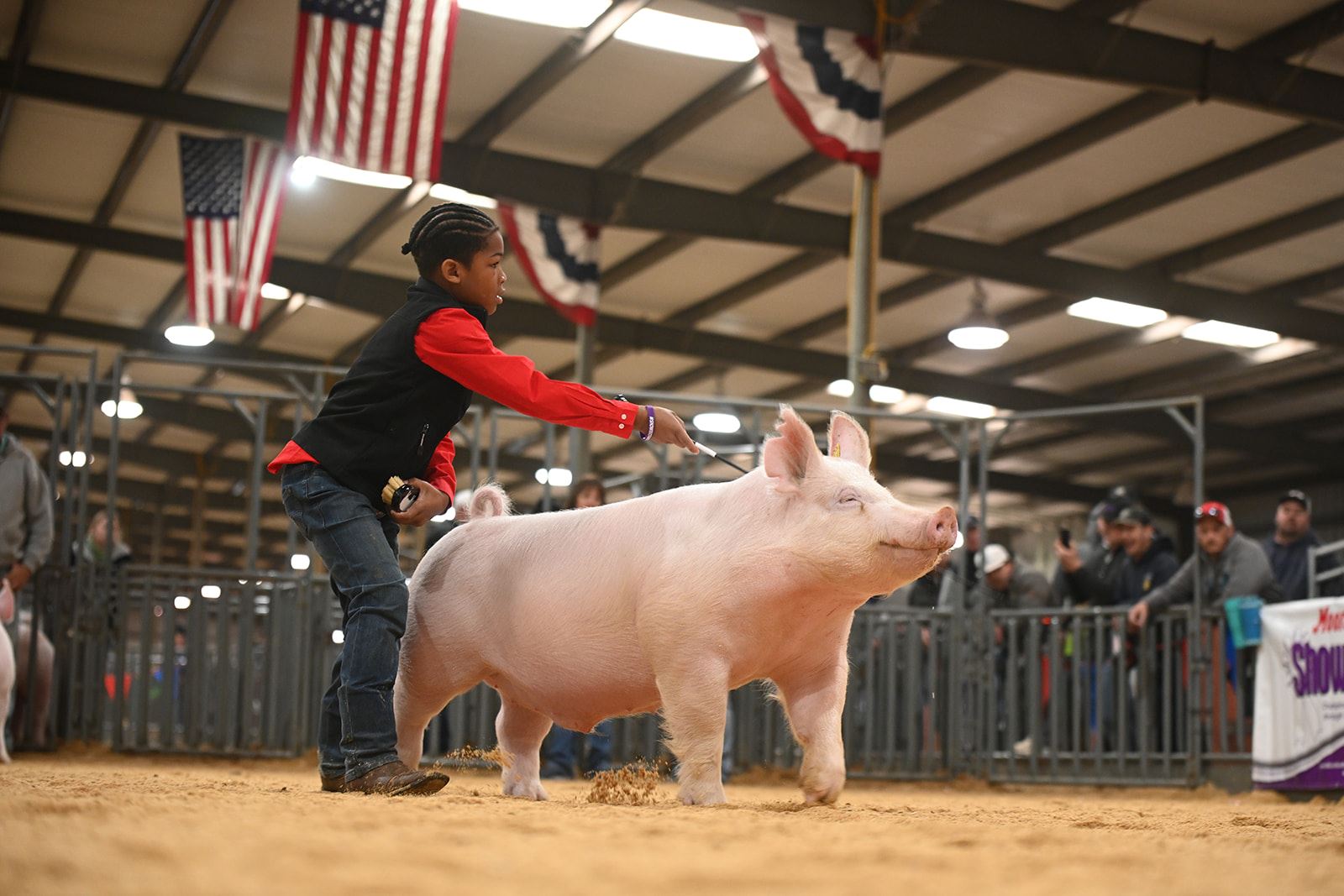 Junior Market Barrow Show