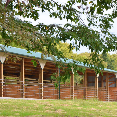 Tent & RV Campgrounds at Smithville Lake, MO