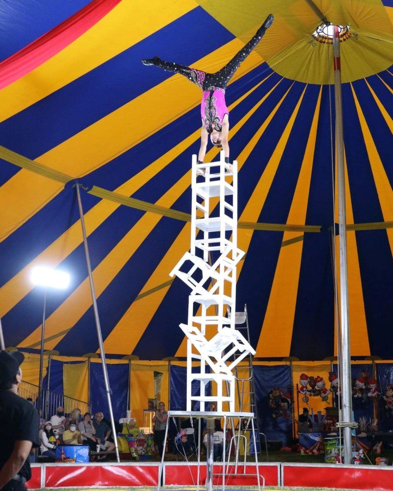 Zerbini Family Circus