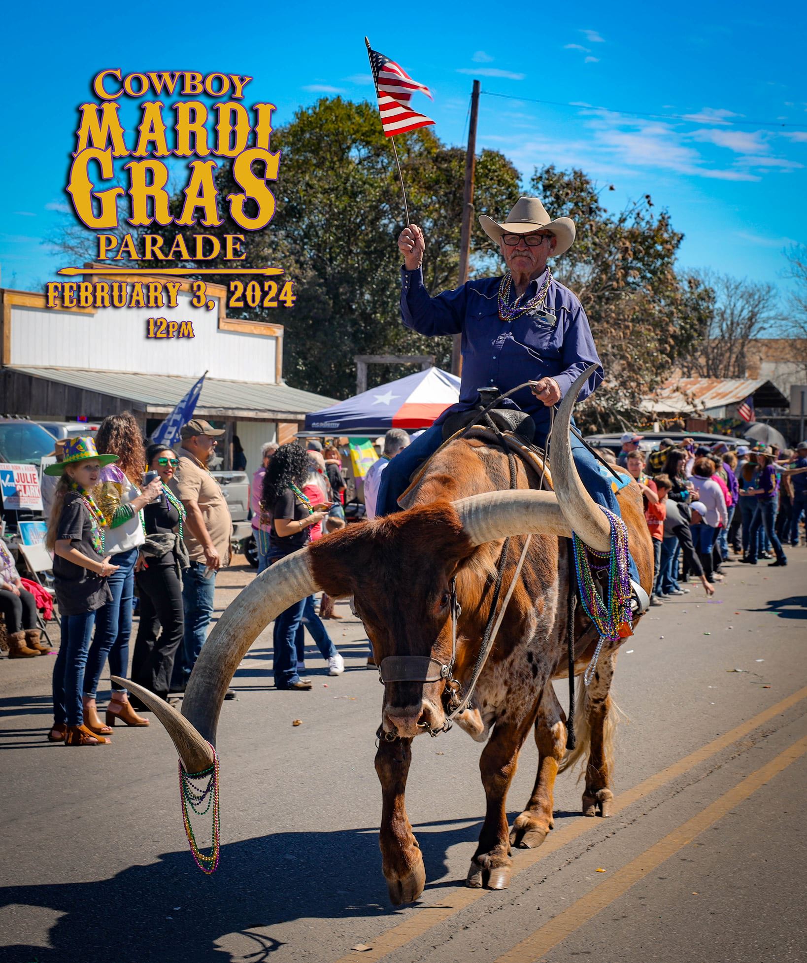 mardi gras parade bandera