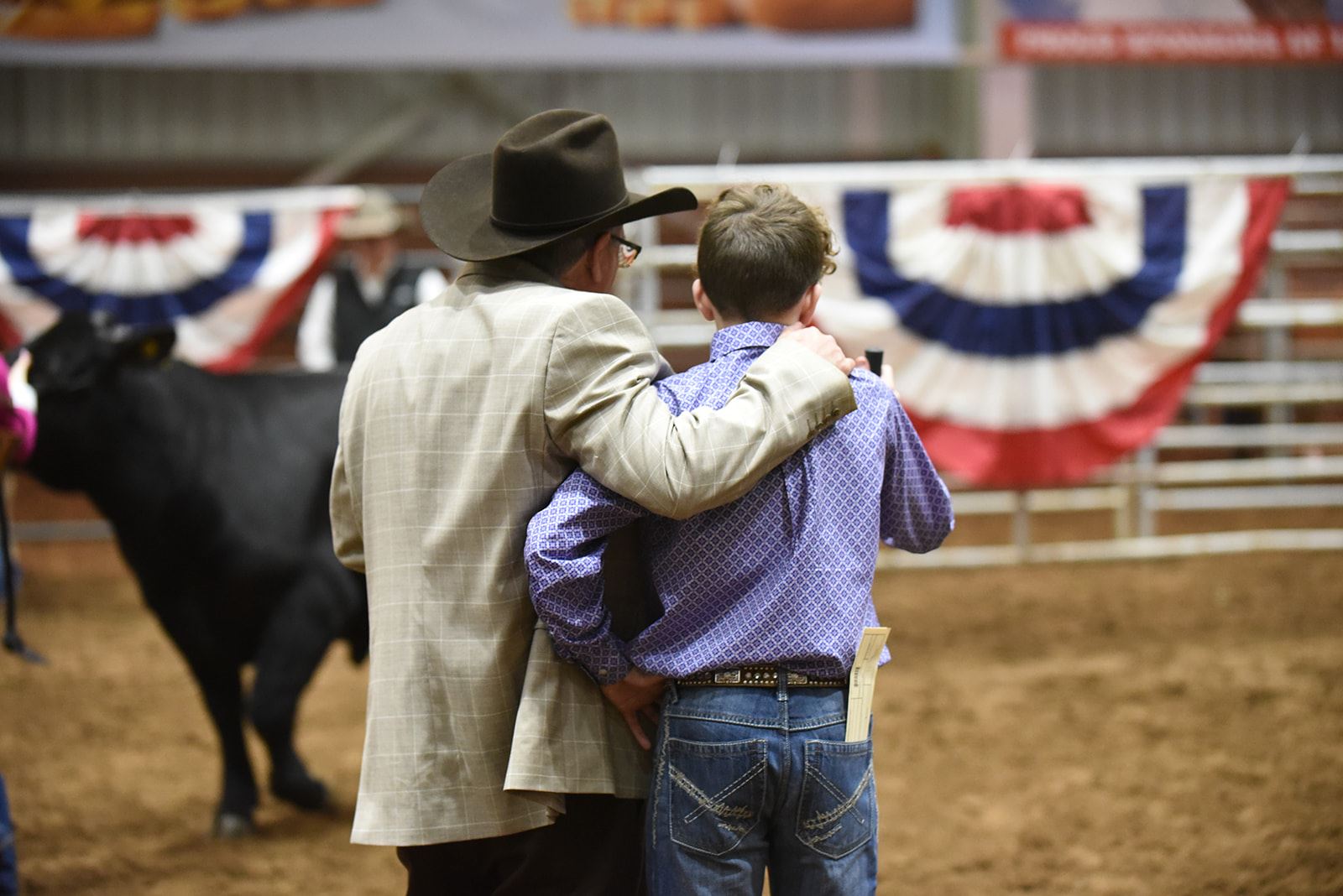 Junior Market Steer Show