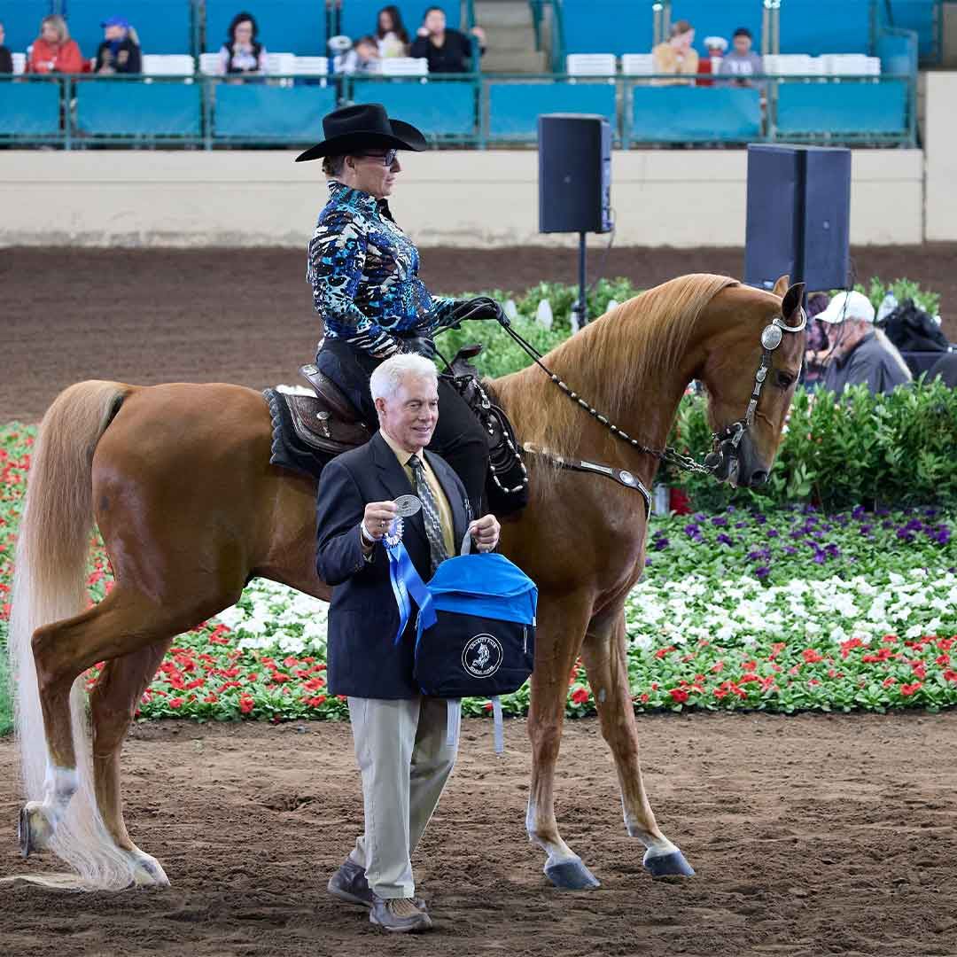 Charity Fair Horse Show