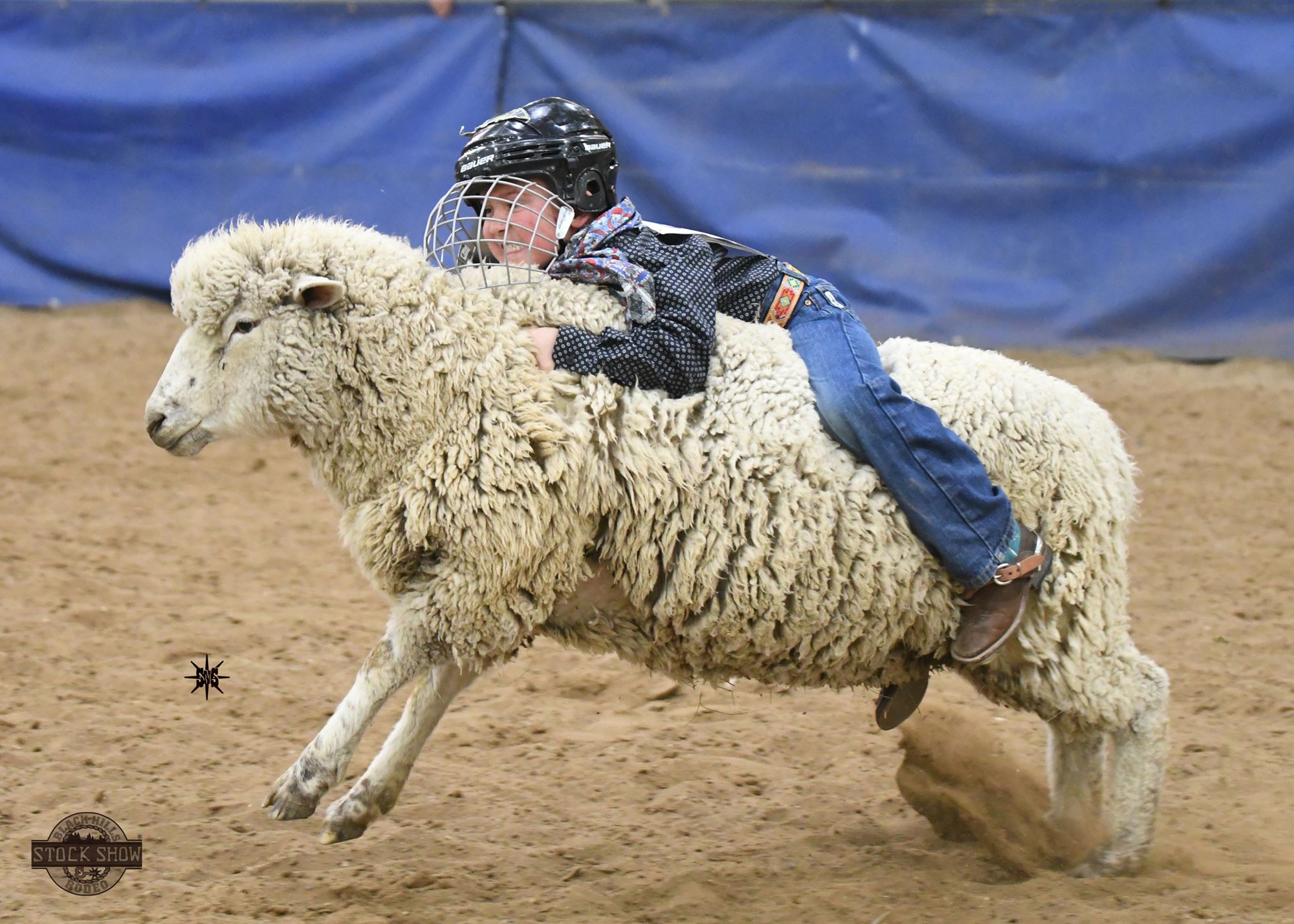 What Is Mutton Busting