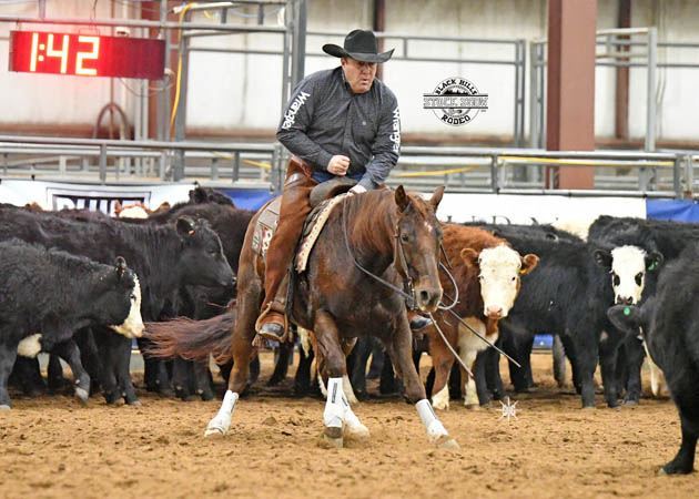 Cutting & Ranch Riding