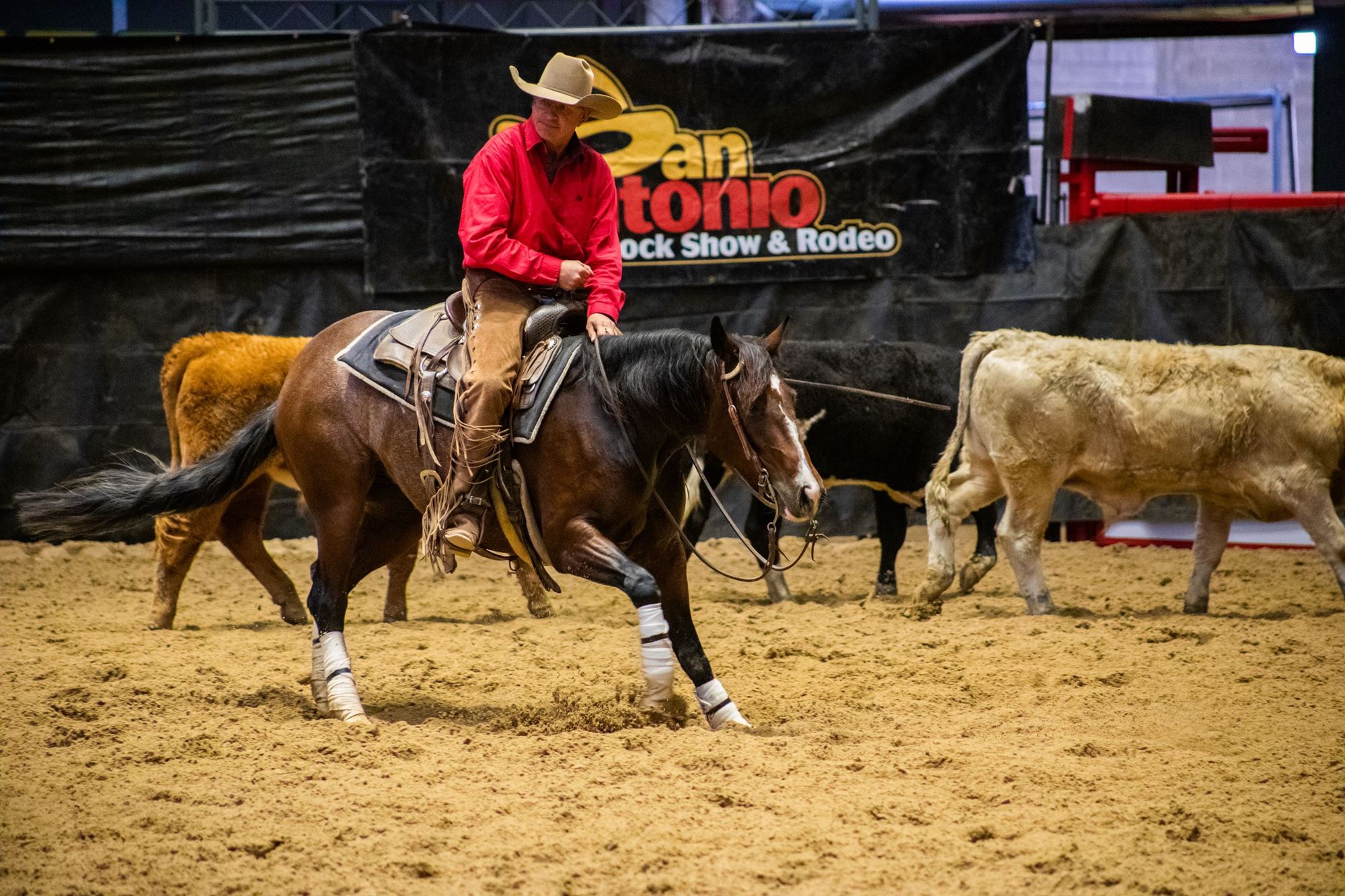 NCHA Cutting Show