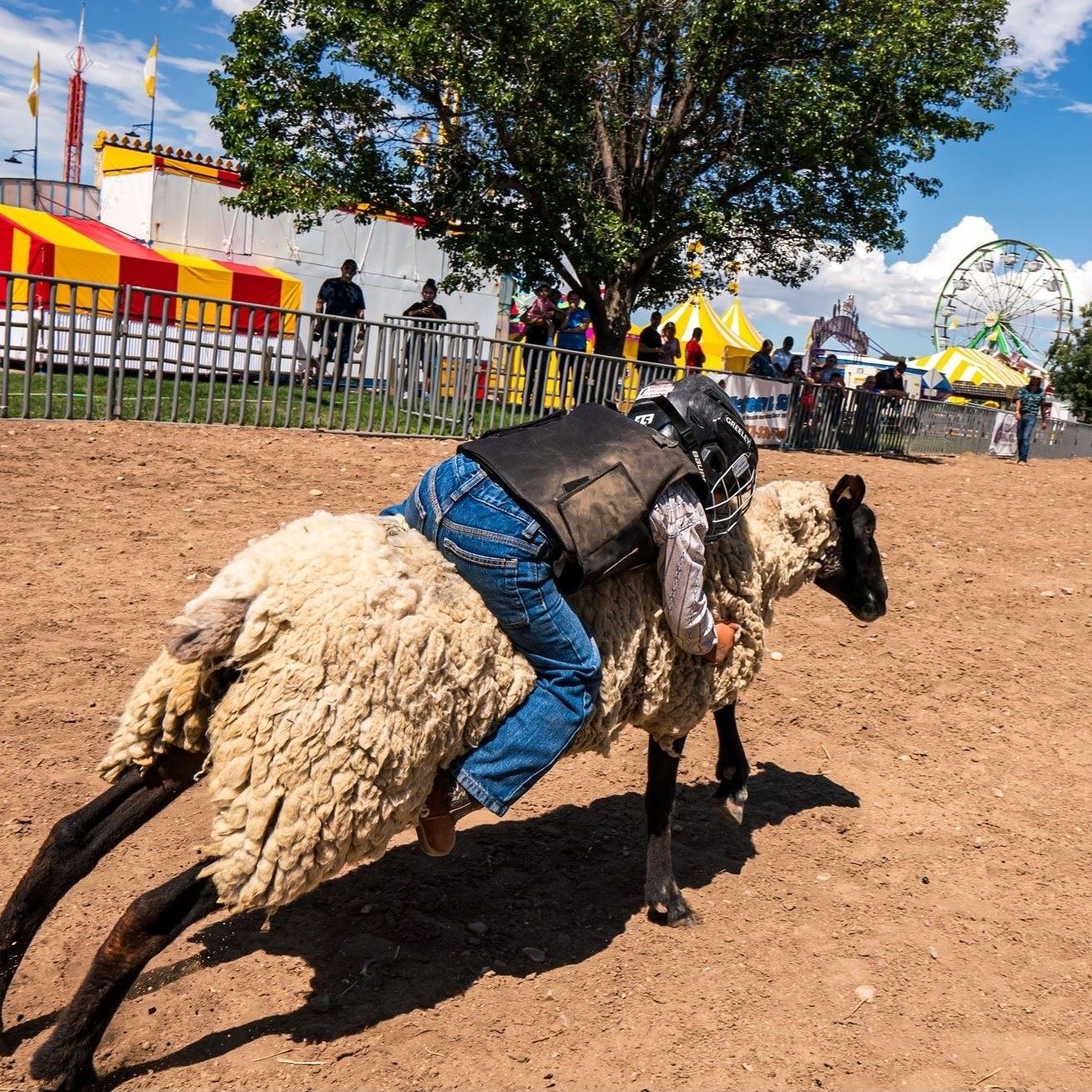 Sheep Stampede