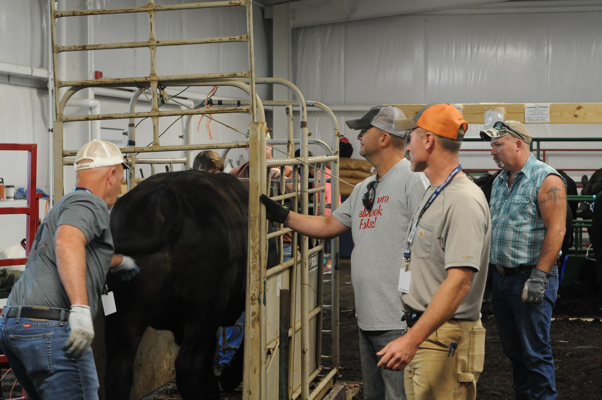 2022 Canfield Fair Photos