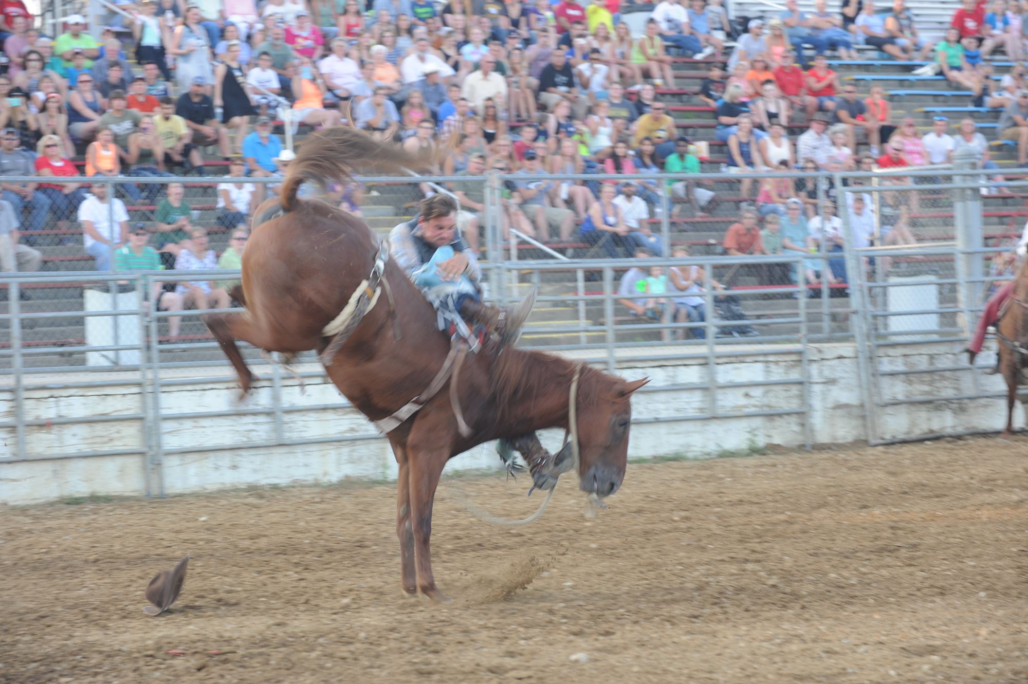 Broken Horn Rodeo