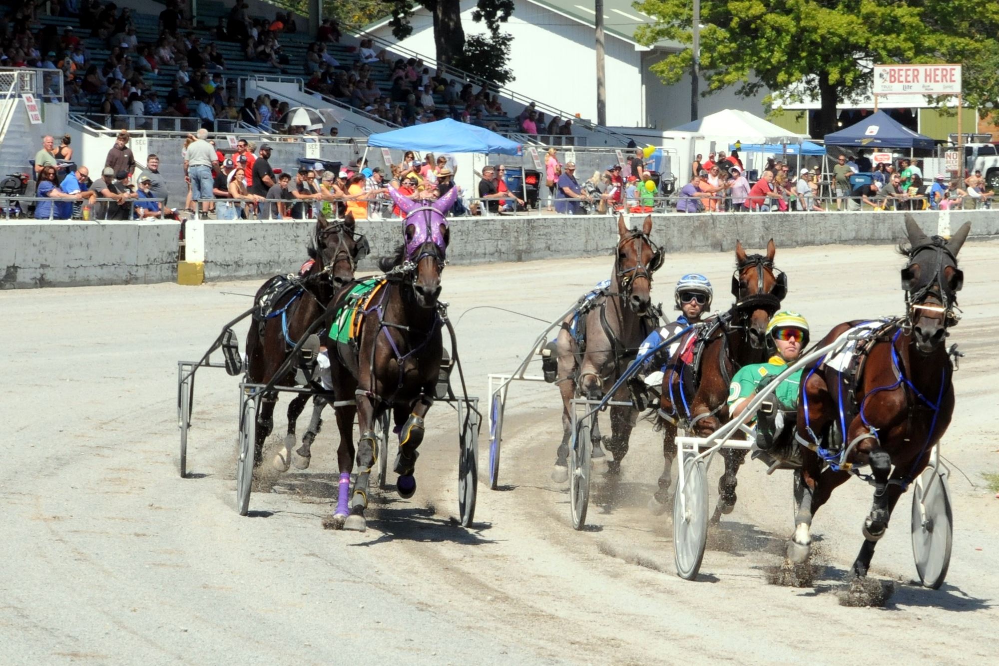 2023 Canfield Fair Photos