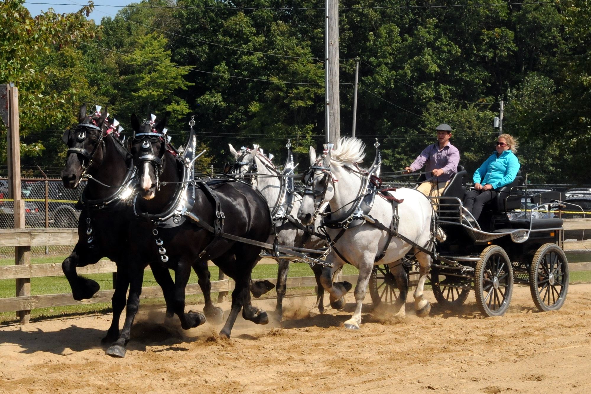 2023 Canfield Fair Photos