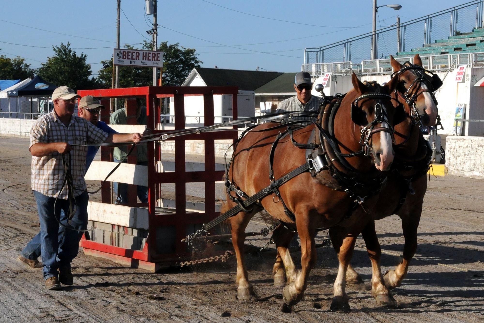 2023 Canfield Fair Photos