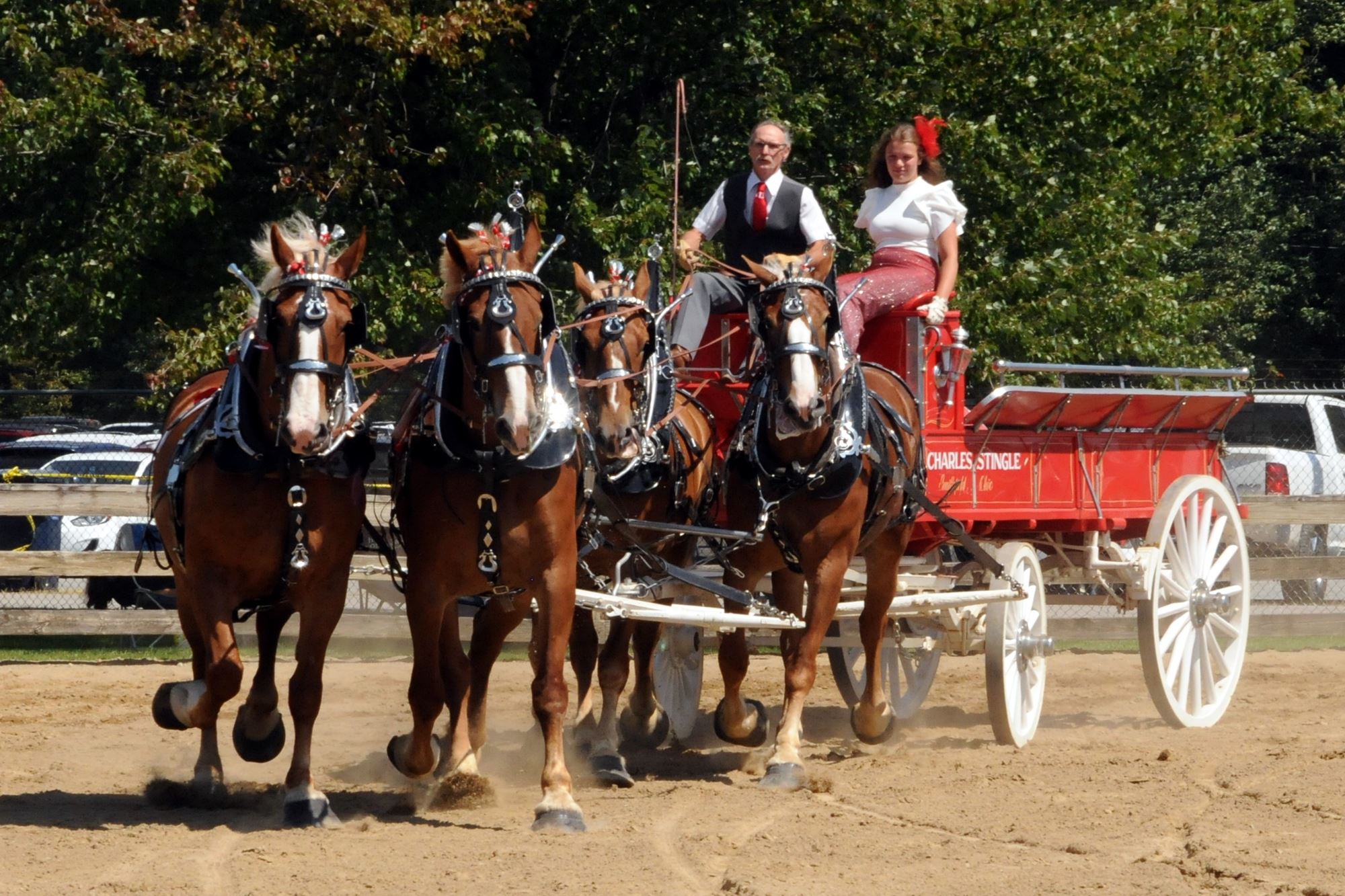 2023 Canfield Fair Photos