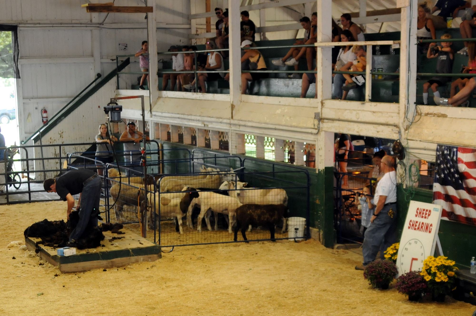 2023 Canfield Fair Photos