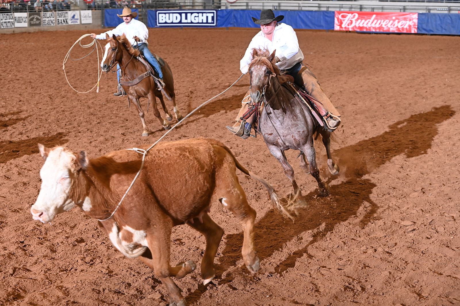 Green Land & Cattle Co.