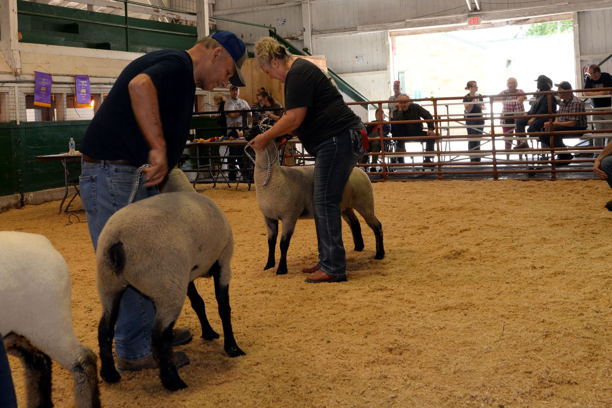 2023 Canfield Fair Photos