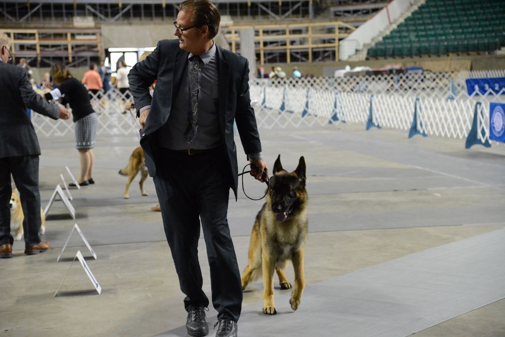 Topeka/Manhattan Kennel Dog Show