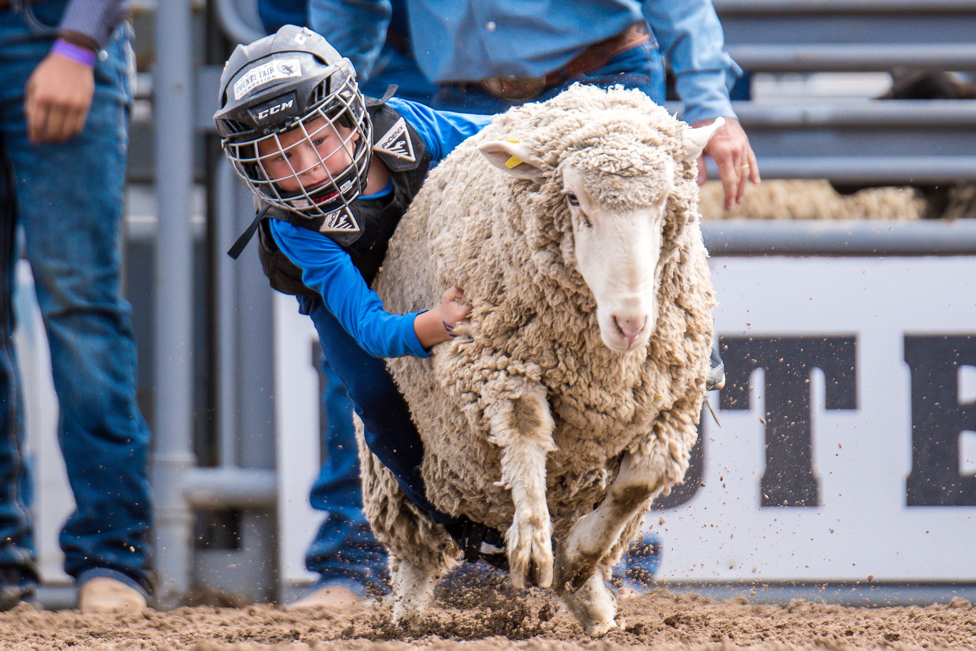 Mutton Bustin'