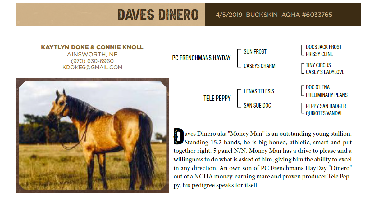 Hutchison Western Stallion Row