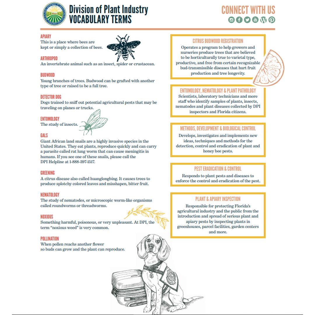 Division of Plant Industry Vocabulary