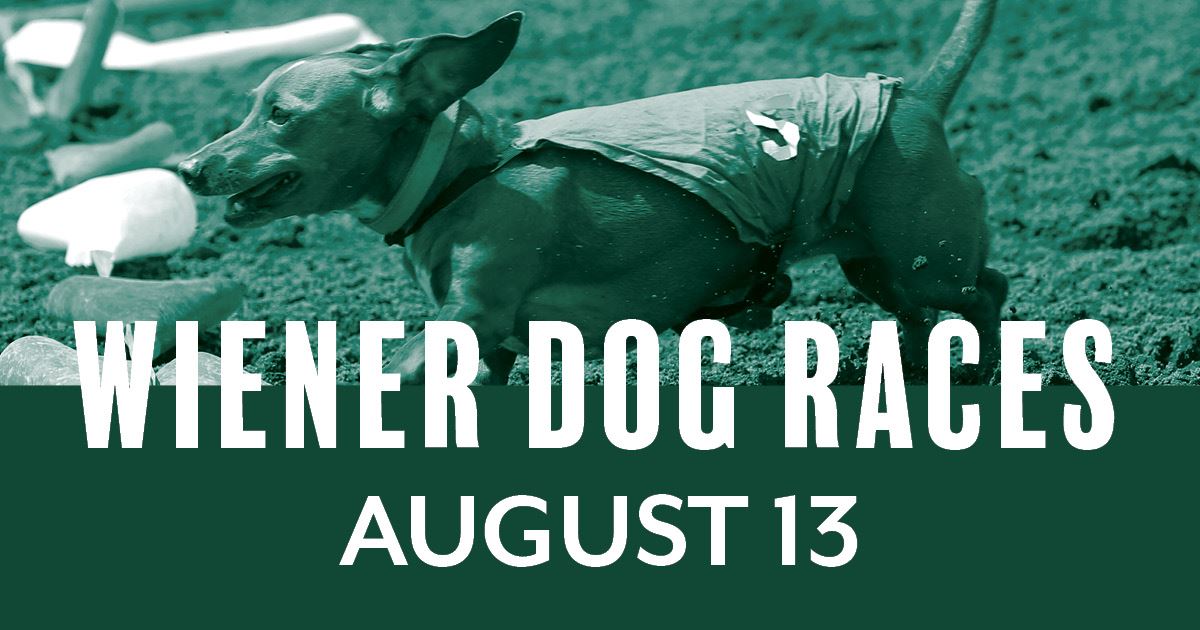 Weiner Dog Races