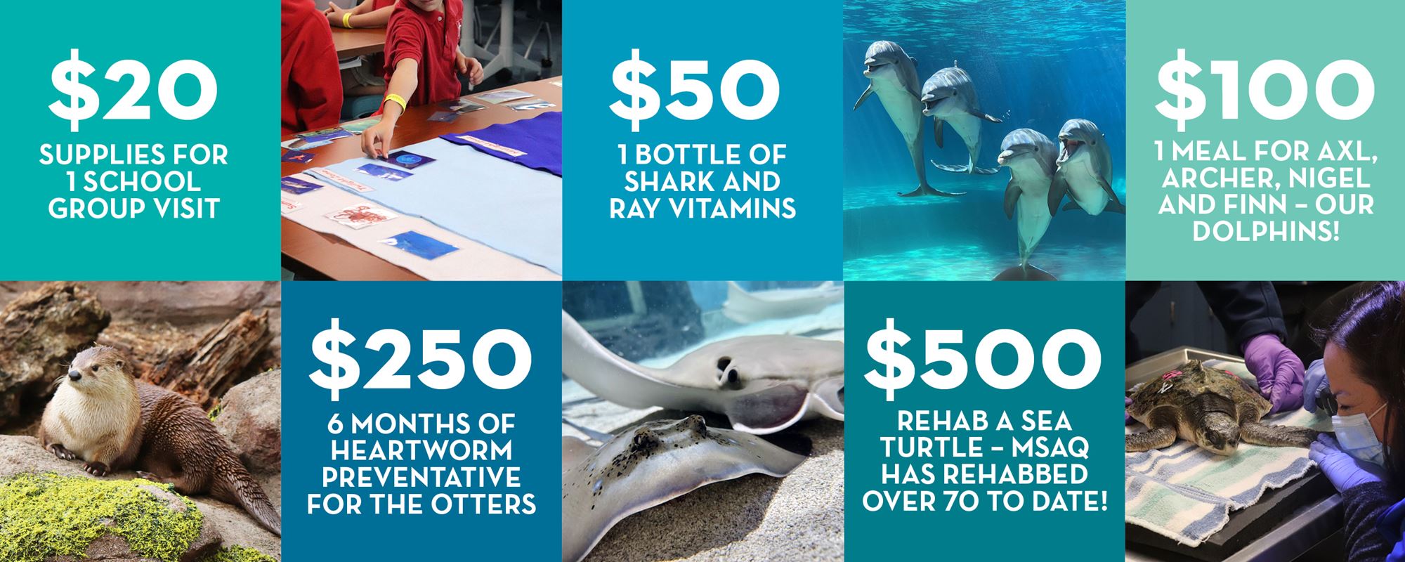 Donate to Mississippi Aquarium