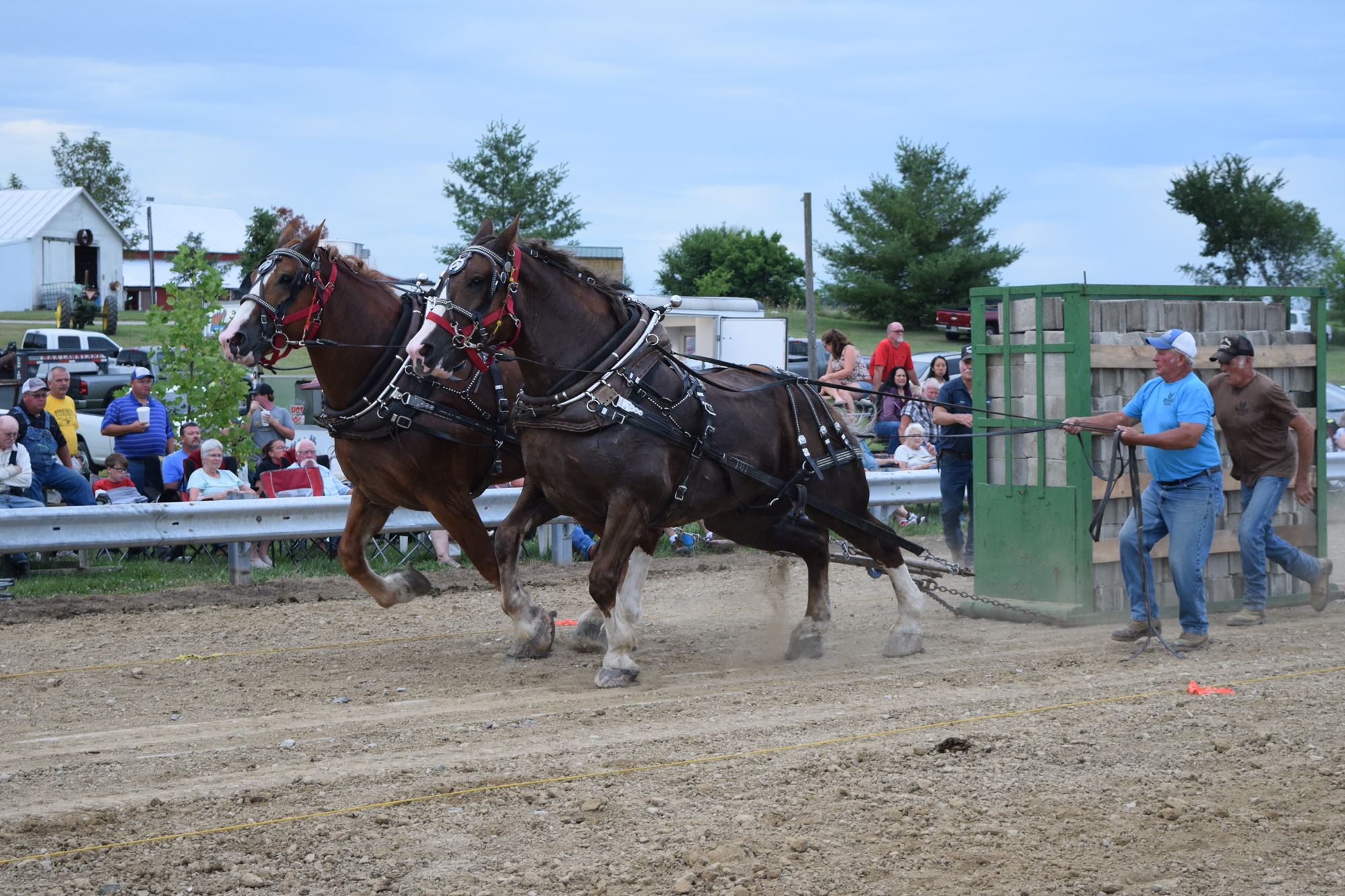 2021 Heavy Weight Horse Pull