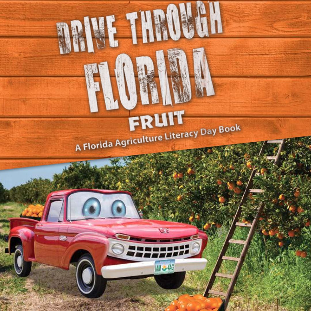 Drive Through Florida Fruit