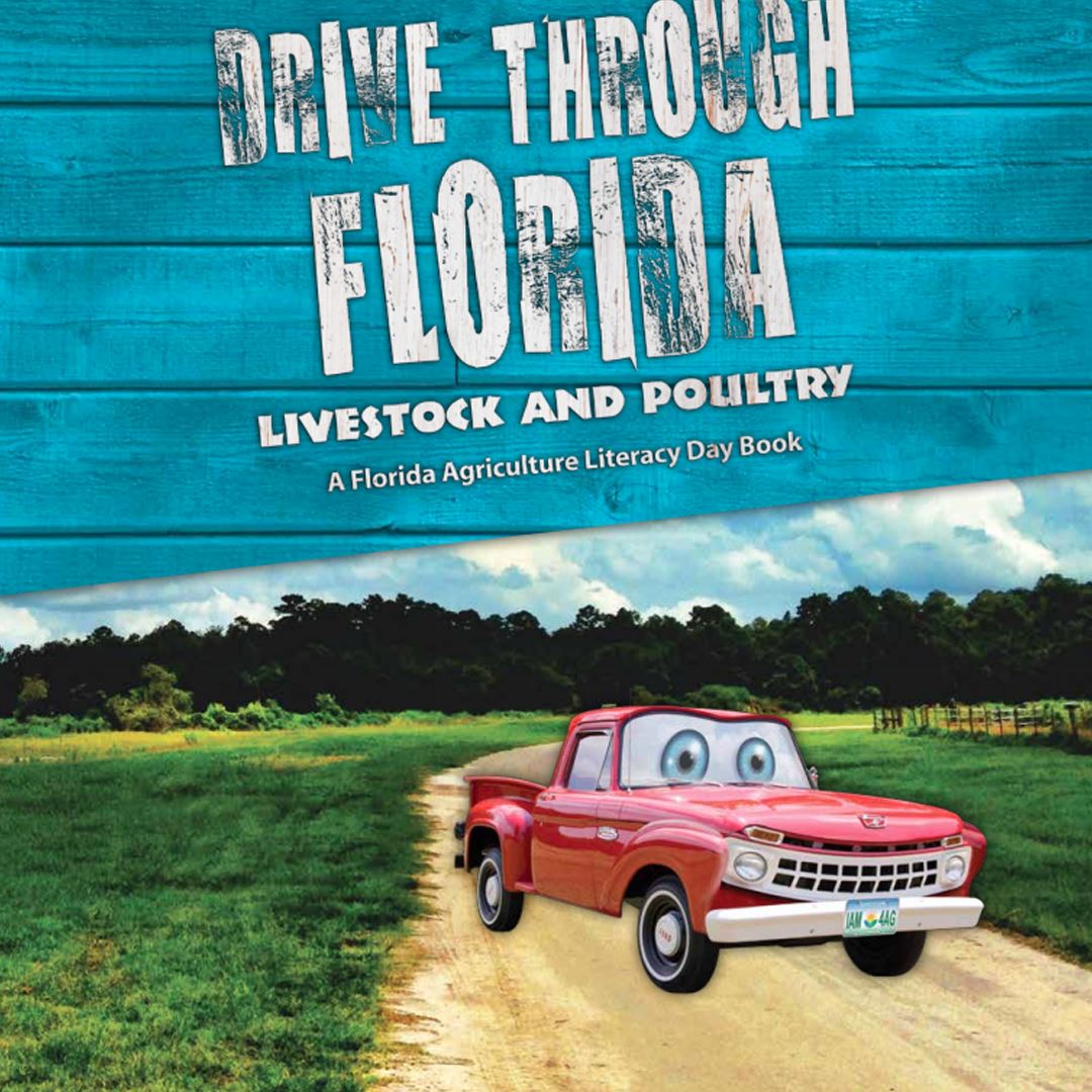 Drive Through Florida Livestock and Poultry
