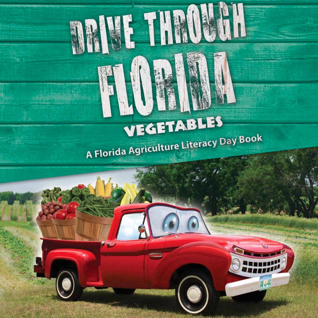 Drive Through Florida Vegetables