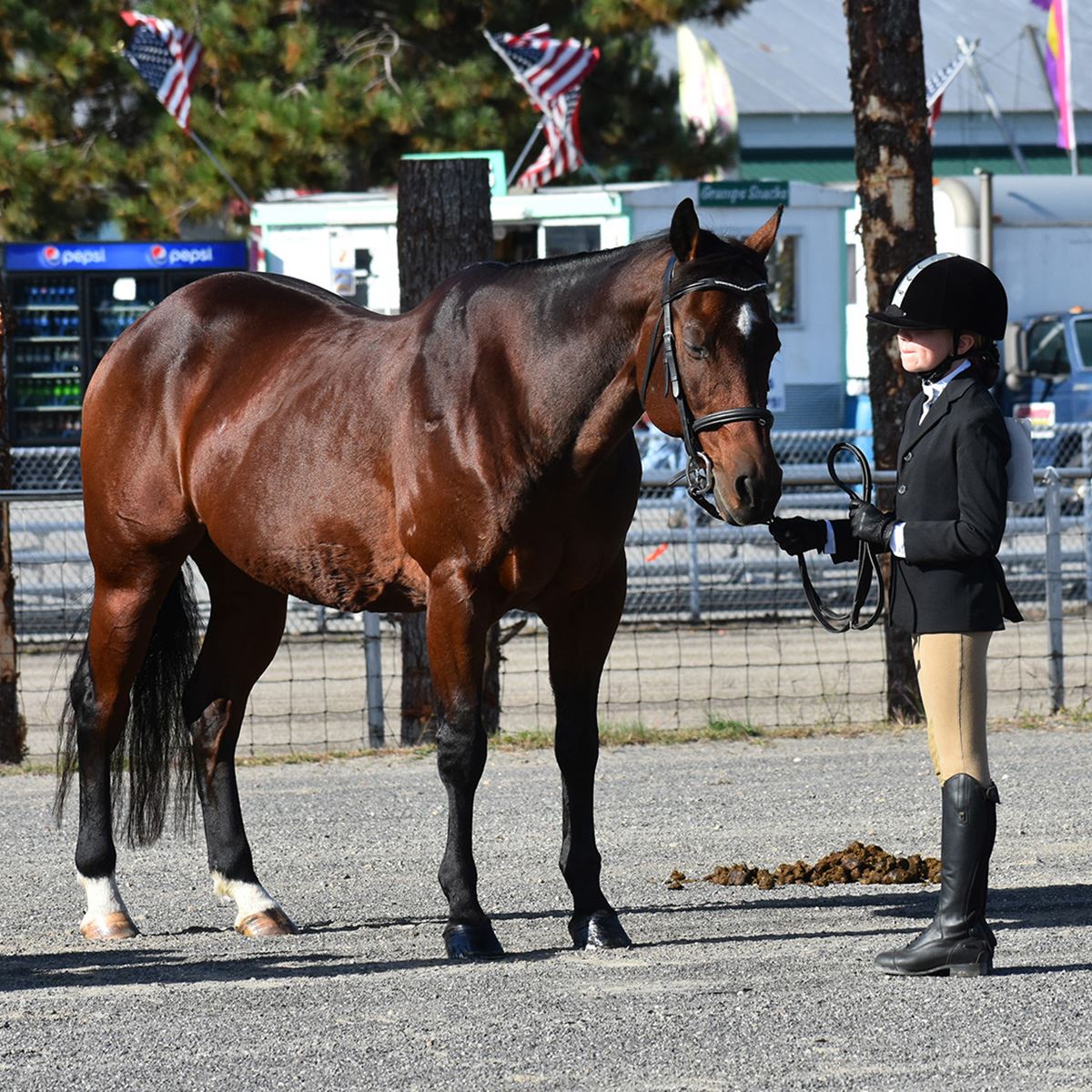 Open Youth Riding Horse Show