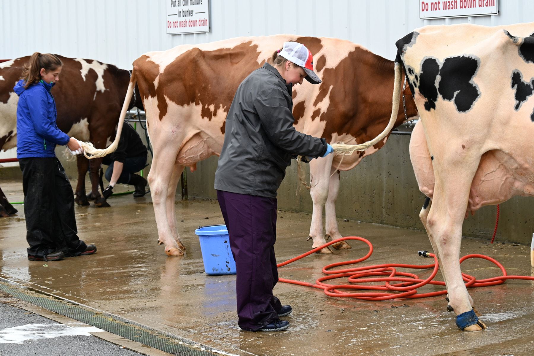 Livestock Exhibitors