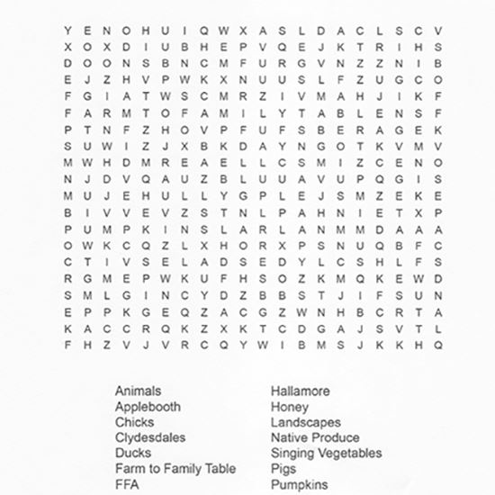 The Big E Farm A Rama Word Search