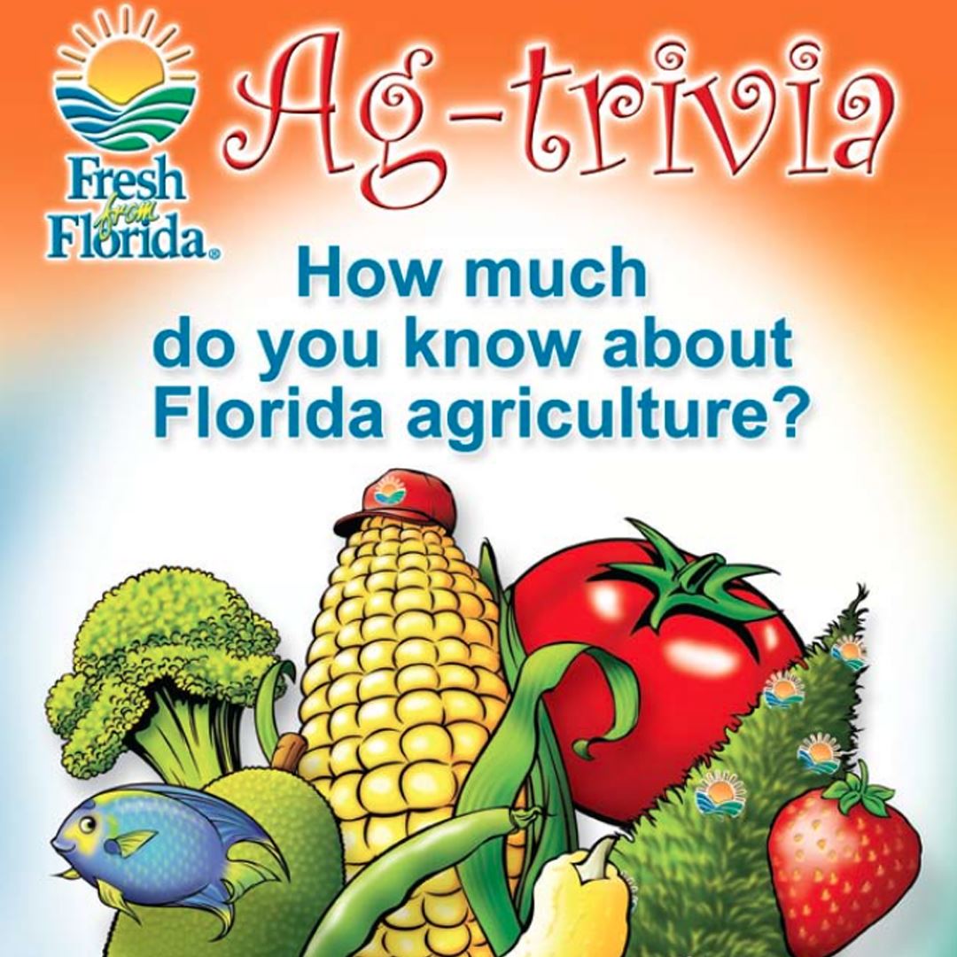 Florida Ag Trivia Flash Cards