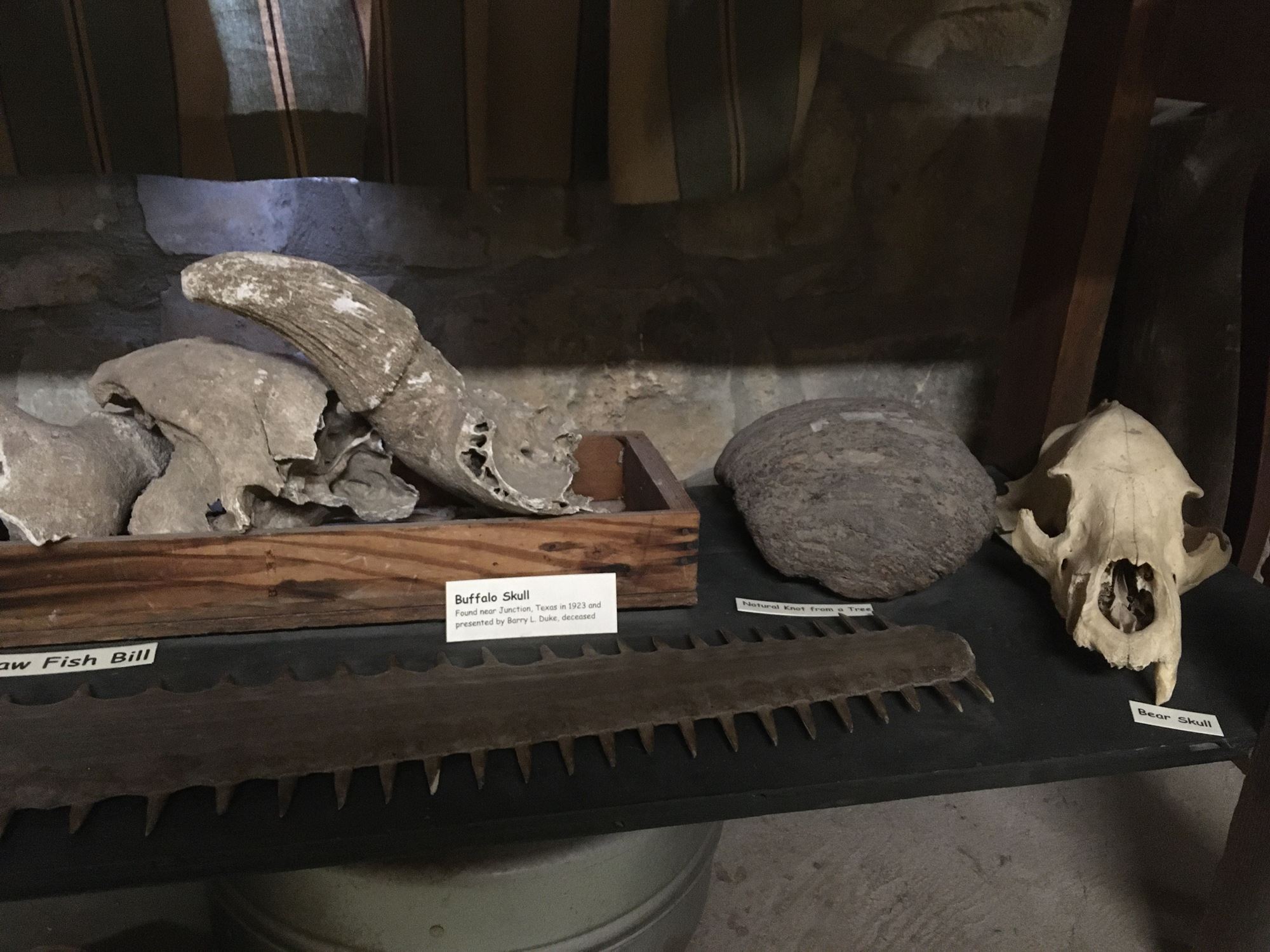 Fossils to Fools Gold