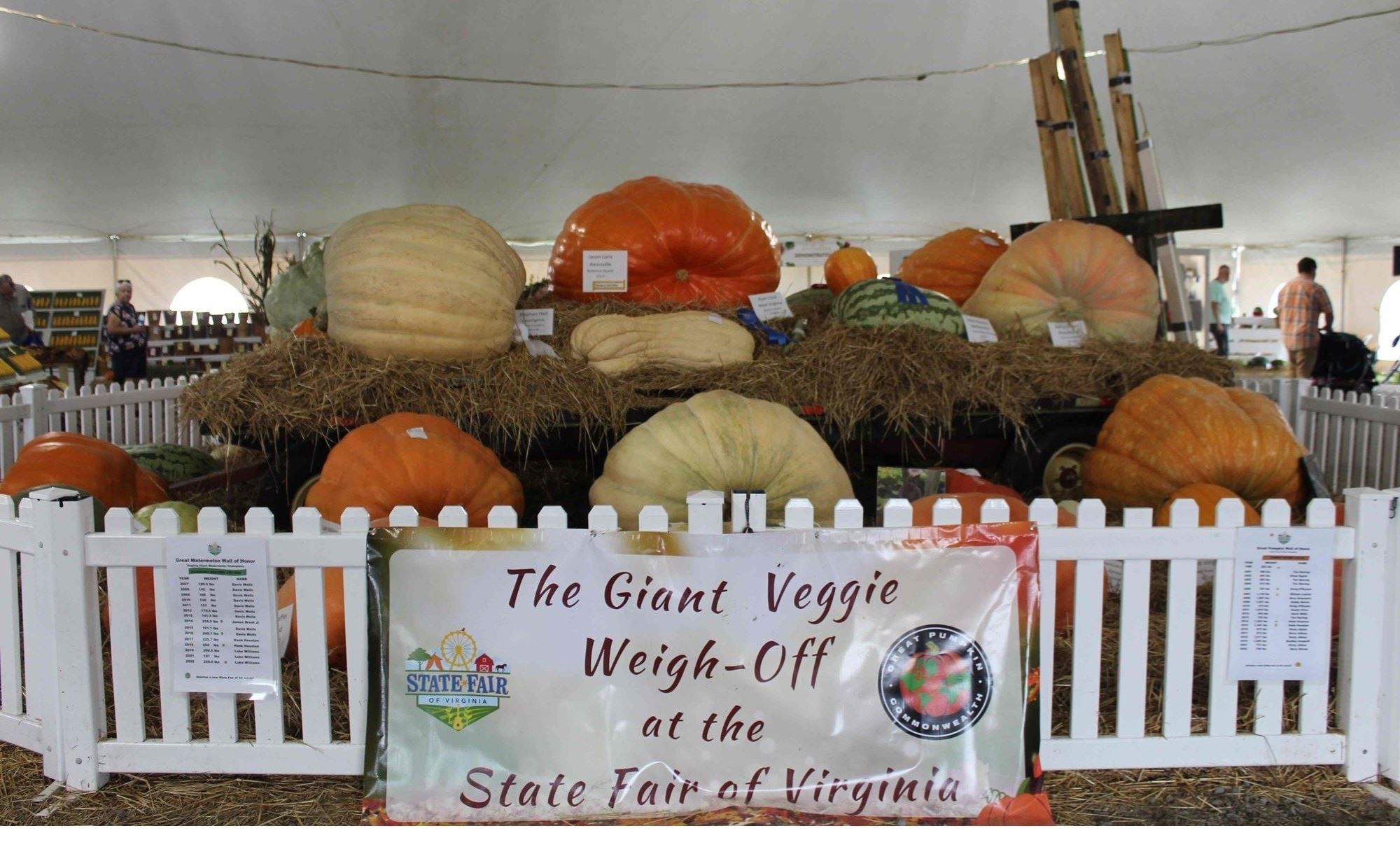 Giant Vegetable Weigh-Off