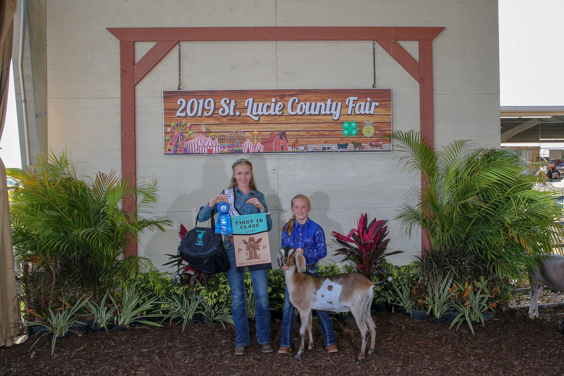 Livestock Contests