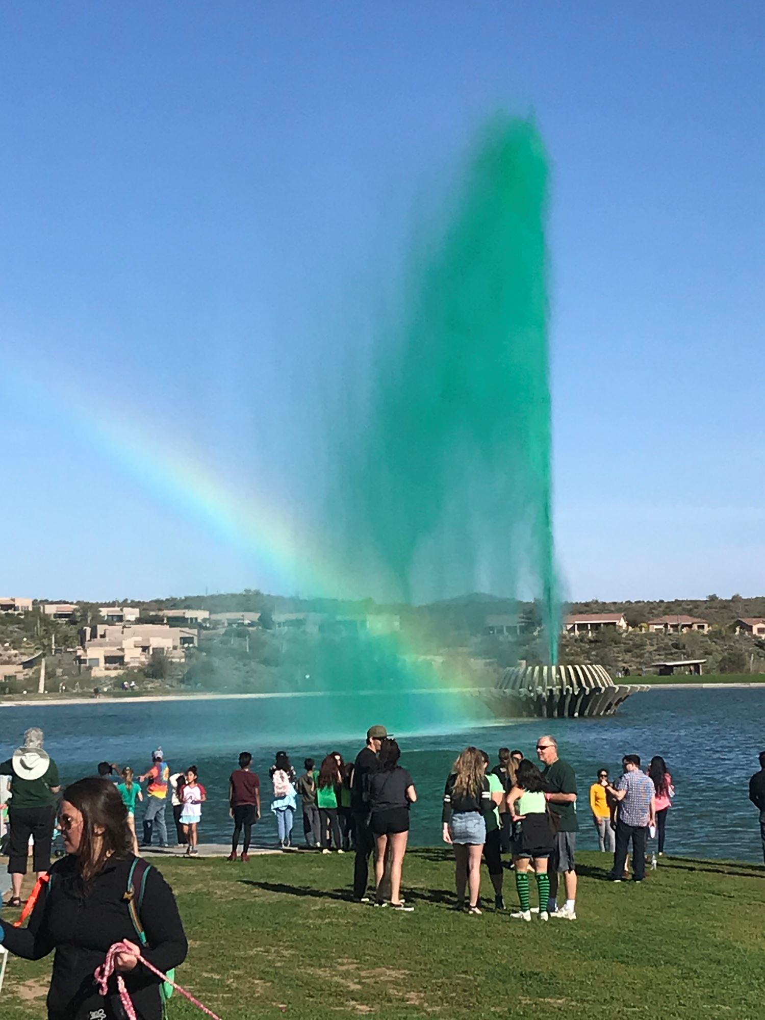 Greening of the Fountain