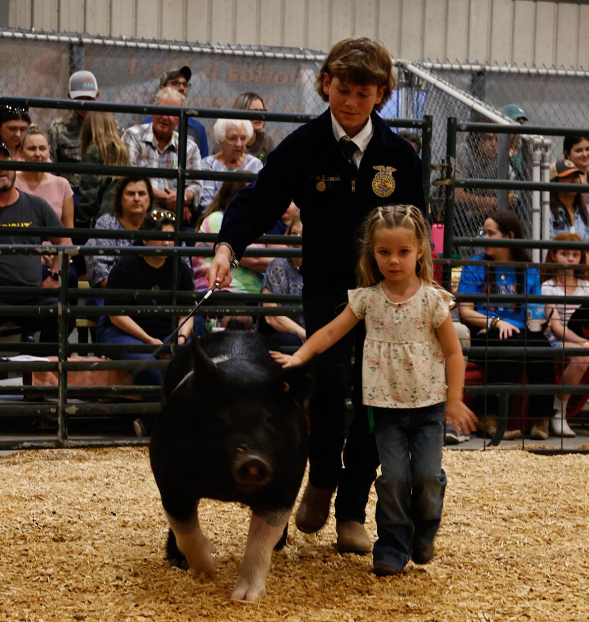 LIVESTOCK SHOWS