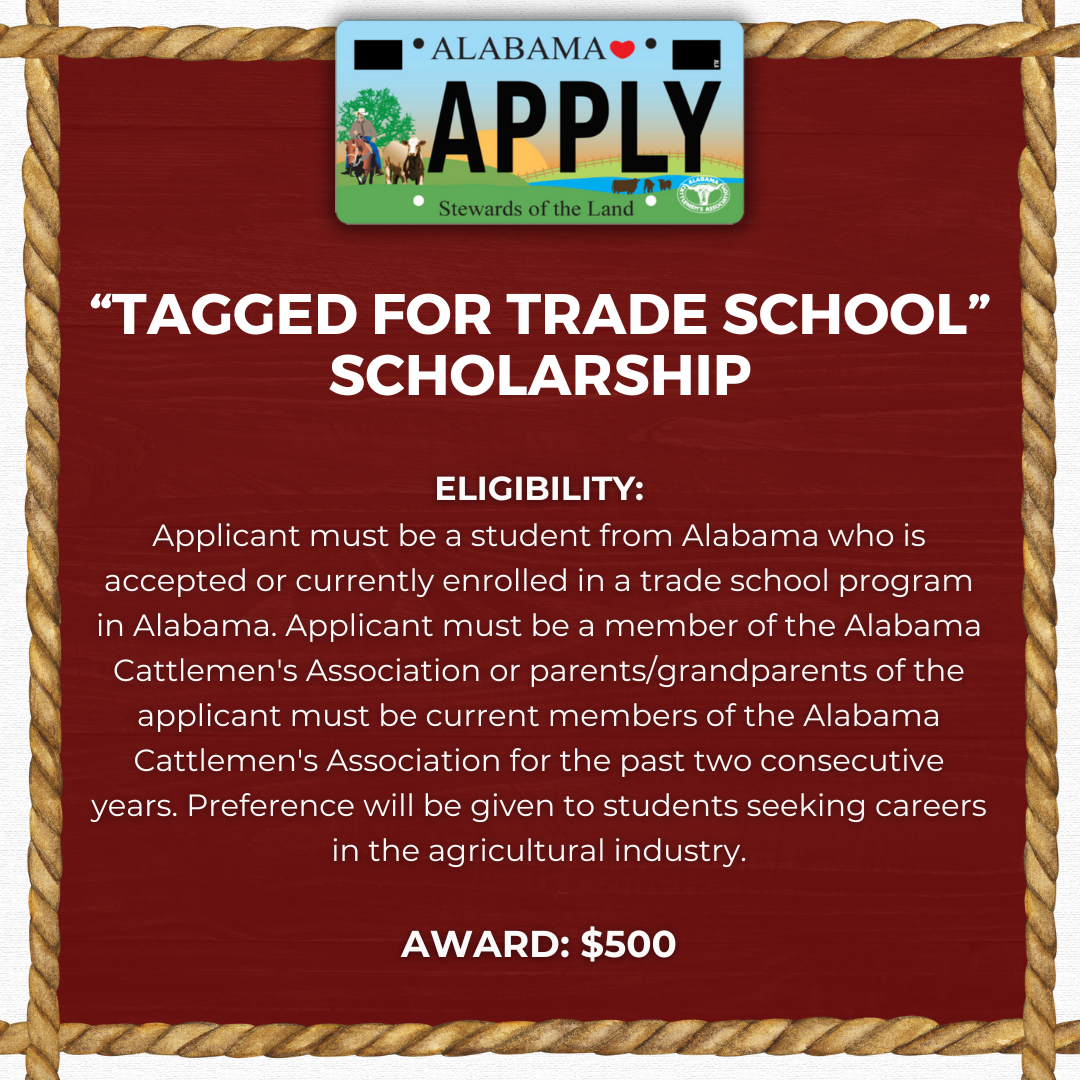 Scholarships for High School Seniors